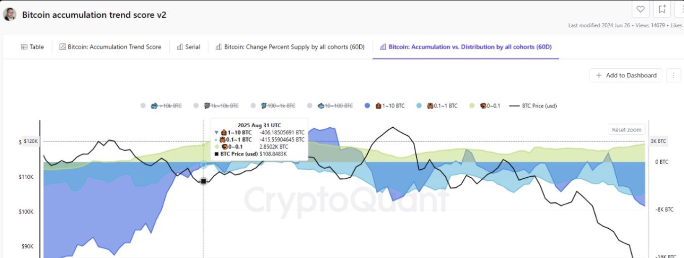 ビットコインクジラの動きの分析