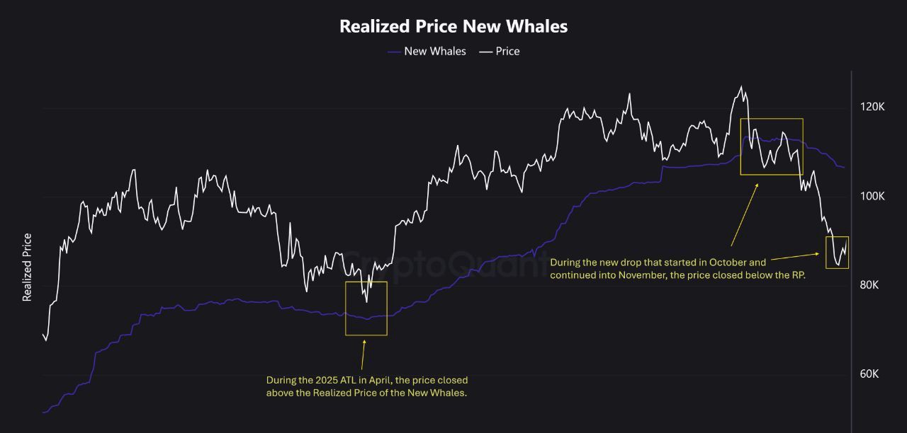 ビットコインクジラメトリクスチャート