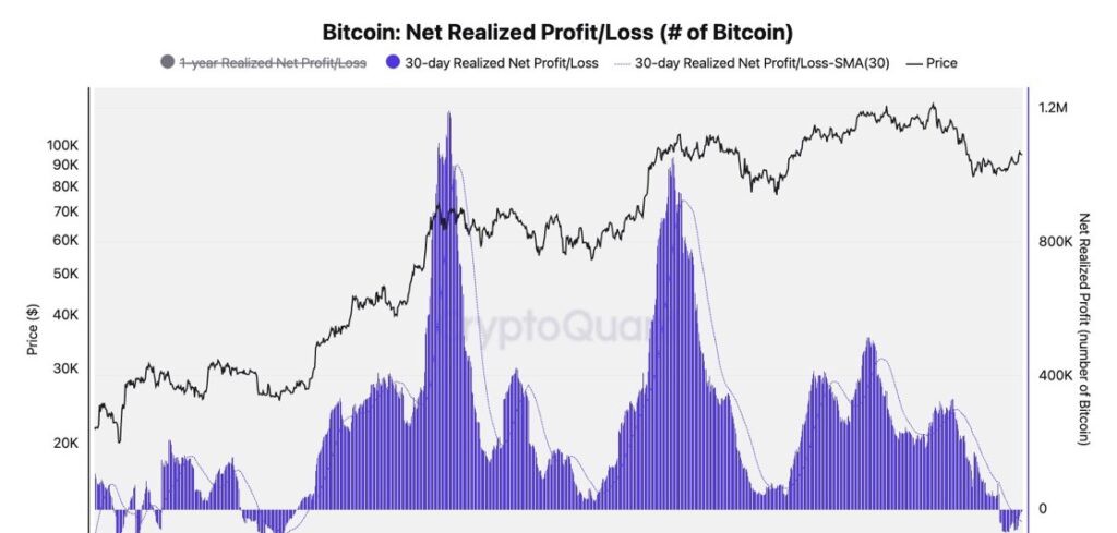 Gráfico de beneficio/pérdida realizada neta de bitcoin.