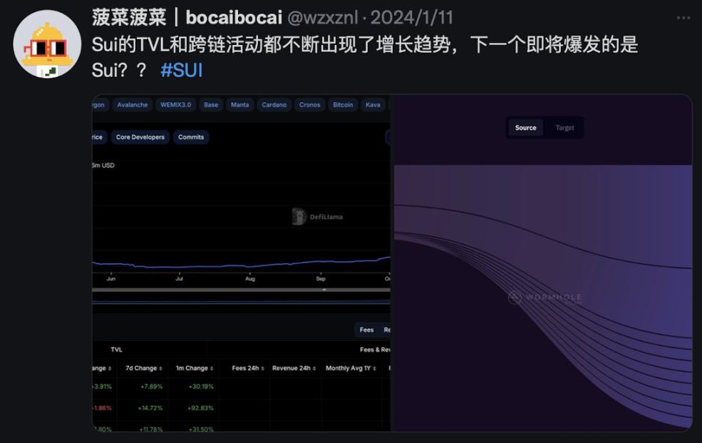 Sui生态迎来爆发,Navi与Scallop的借贷龙头之战打响