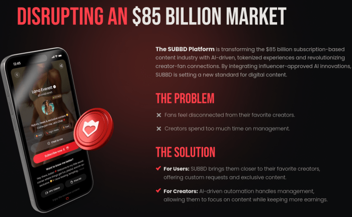 SUBBDトークンの今後の計画