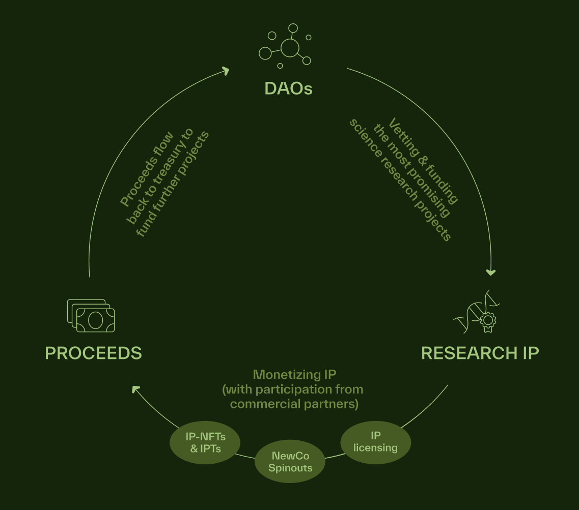 BIO Protocol深度研报:币安倾力支持的去中心化科学(DeSci)平台