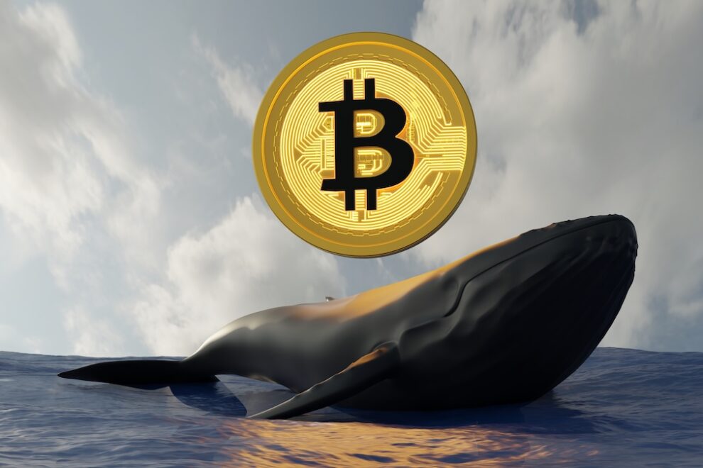ビットコイン、11万7000ドル超えまで反発──ギャラクシーが古株クジラの約1兆3300億円相当のBTC売却を完了後