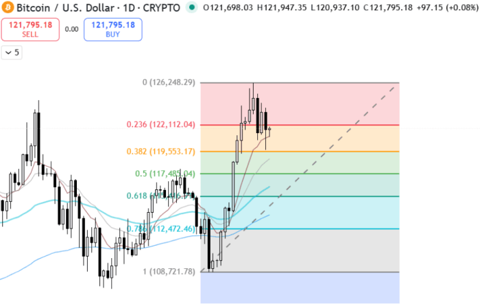 Chart harian Bitcoin menunjukkan token memantul setelah menemukan dukungan pada 10 EMA.