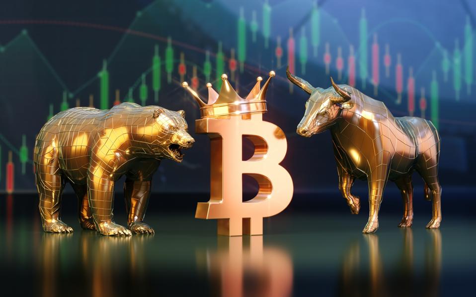 座っている王冠ビットコインサインと金融グラフ背景の強気熊シーズン