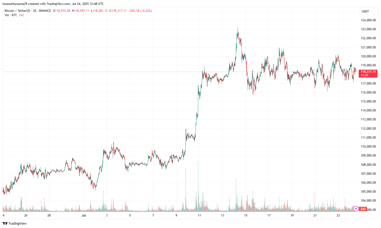 ビットコイン価格チャート