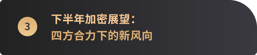 2025上半年落幕,哪些主线将成就下半年"加密新引擎"?