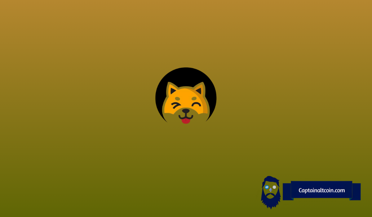 Shiba Inu Shibarium Dispute: K9 Finance Finally Breaks Silence