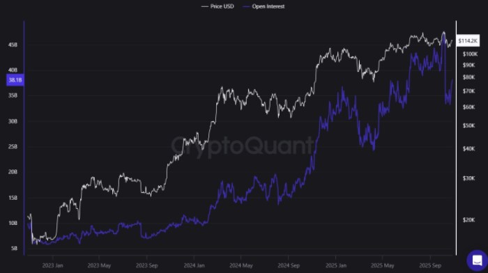 ビットコイン建玉