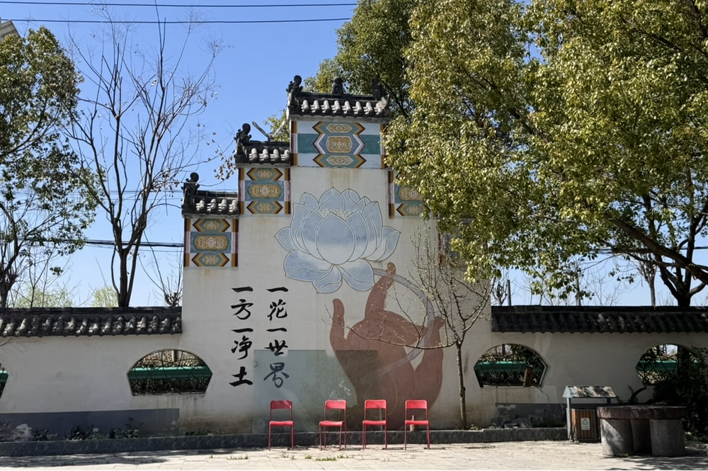 南塘DAO记事(上篇)
