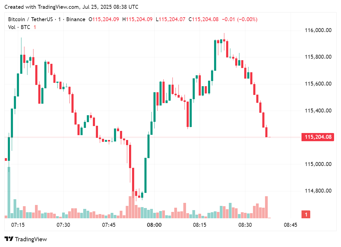 過去数時間のビットコインの価格チャート、2025年7月25日|出典:crypto.news