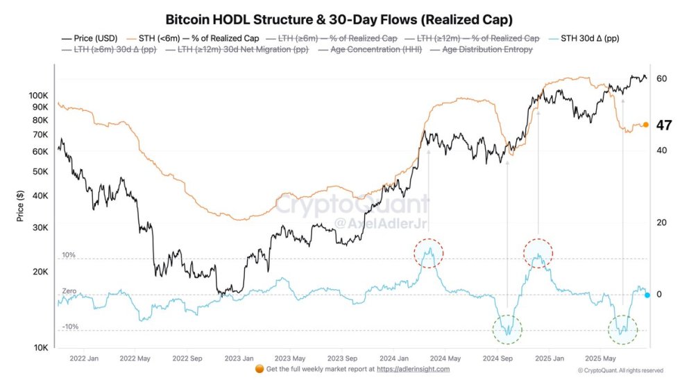 Bitcoin HODL 構造と30日間のフロー | 出典: Axel Adler 