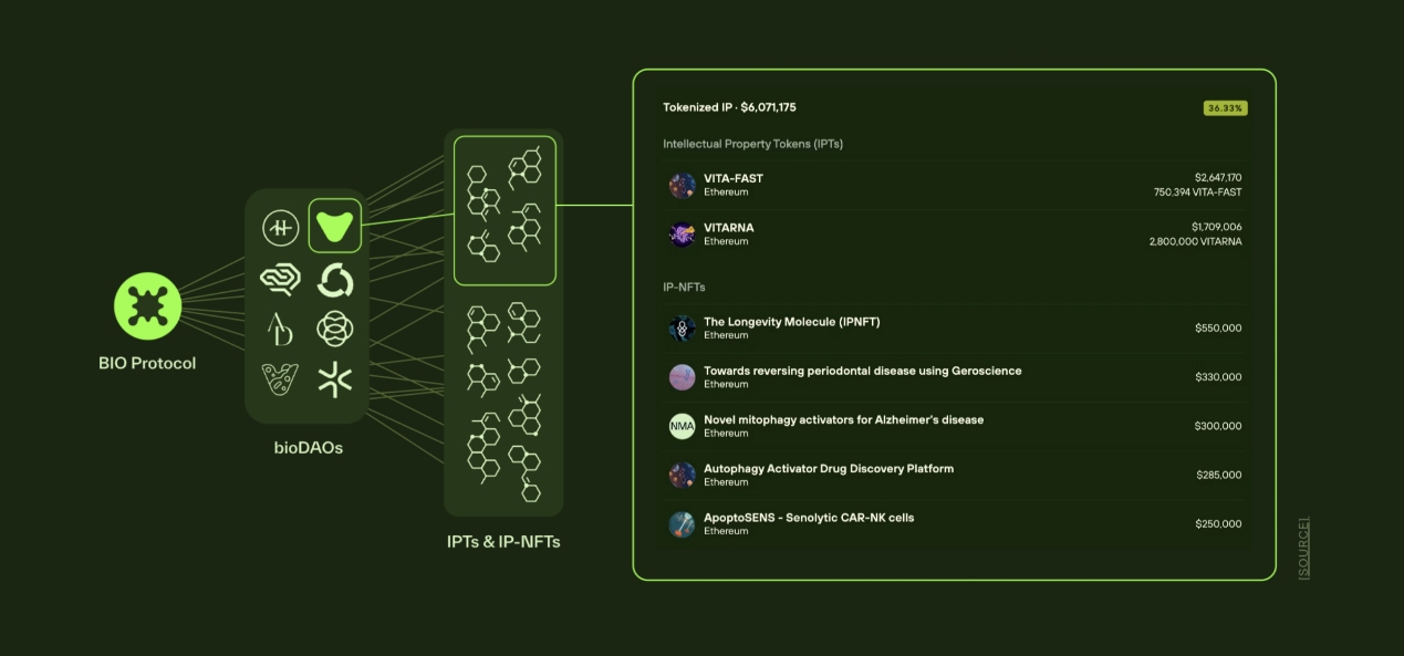 BIO Protocol深度研报:币安倾力支持的去中心化科学(DeSci)平台