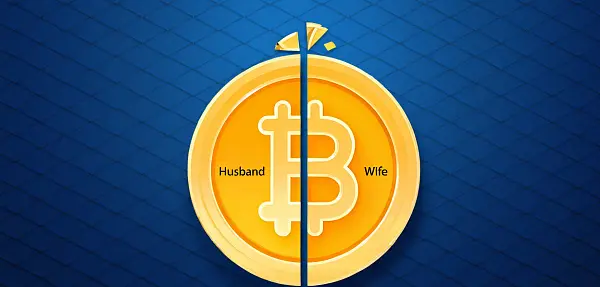 加密货币离婚案例