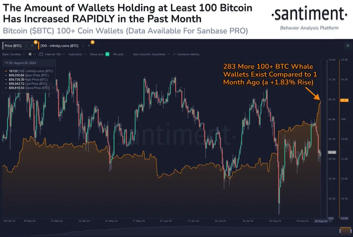 repost-content-media