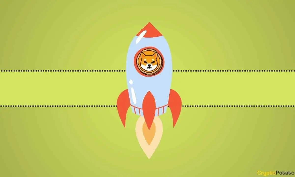 shiba_inu_shib_cover