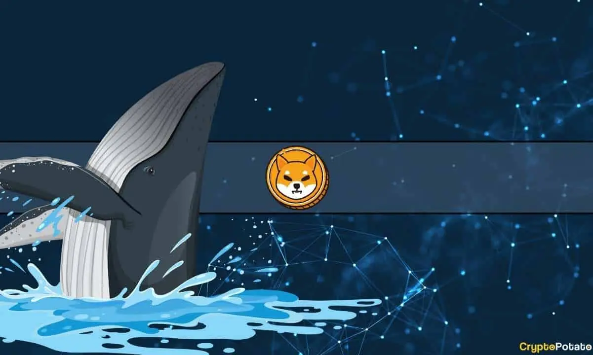 shiba_whale_cover