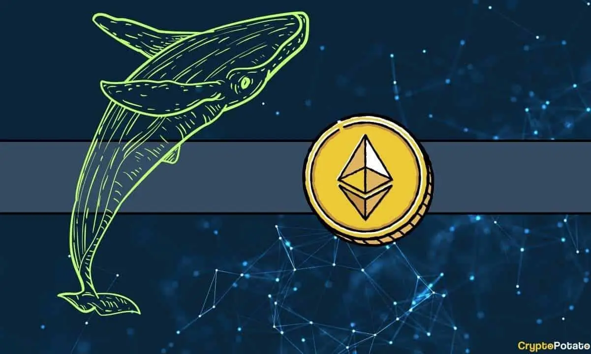 eth_whale_cb