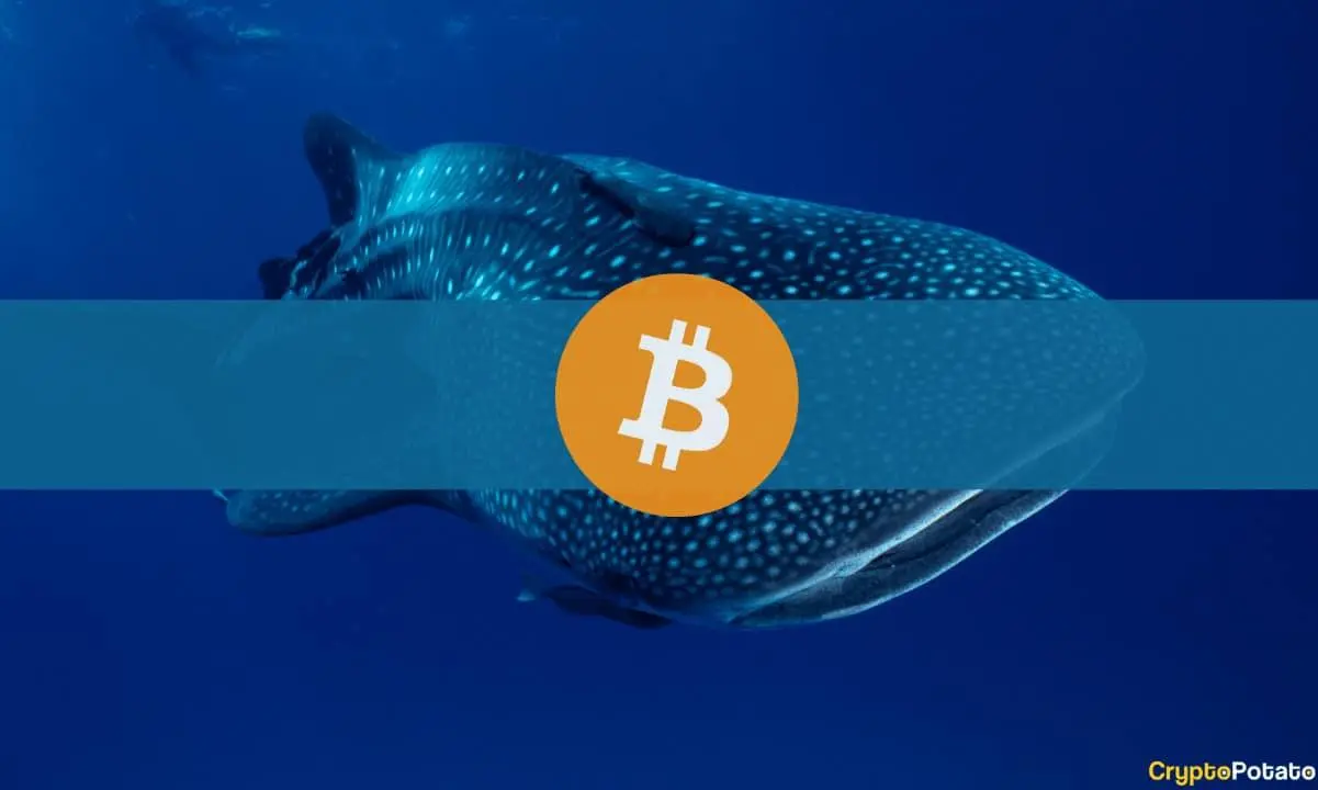 Bitcoin_Whale