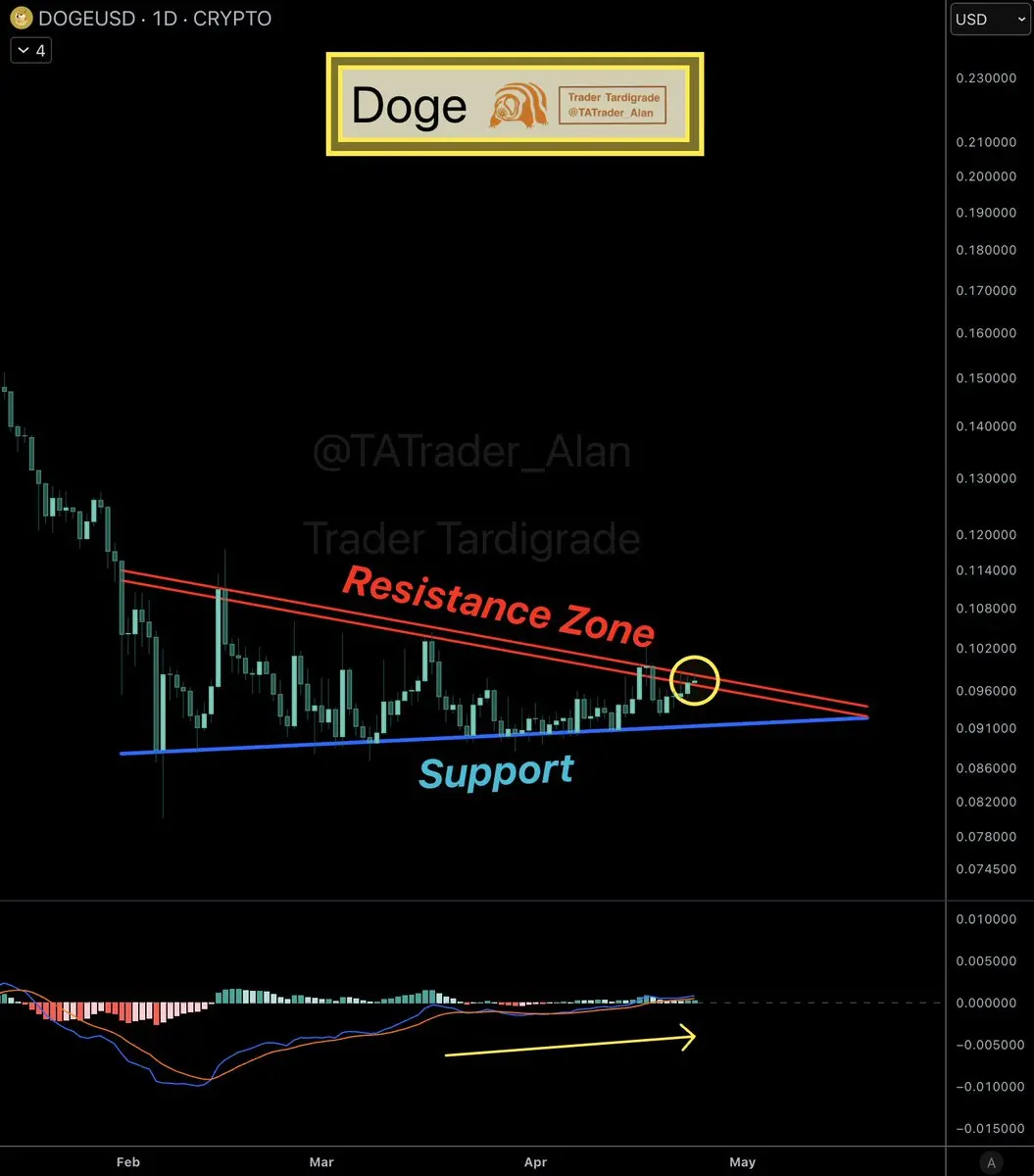 repost-content-media