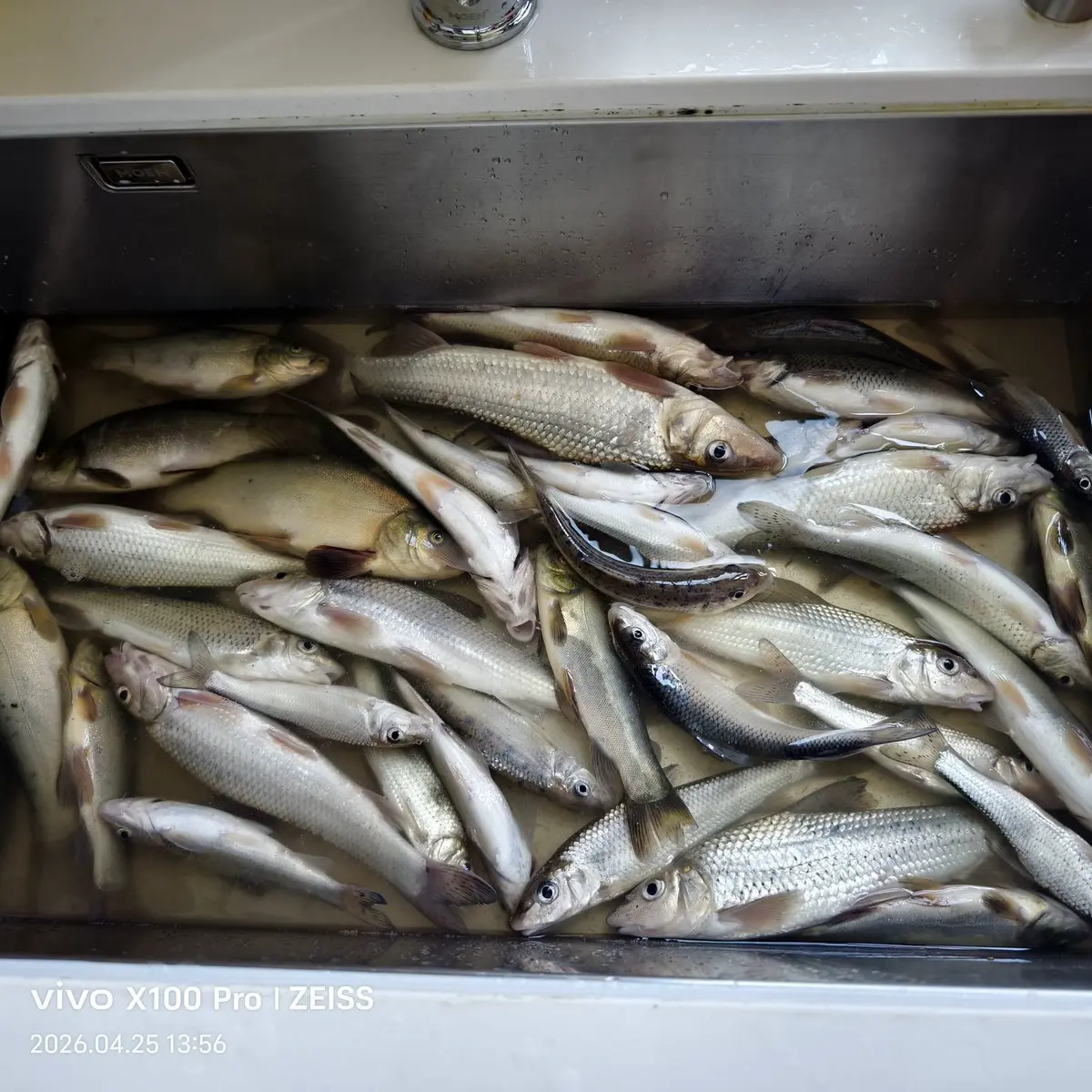 repost-content-media