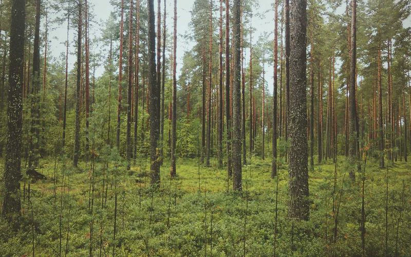 post-image