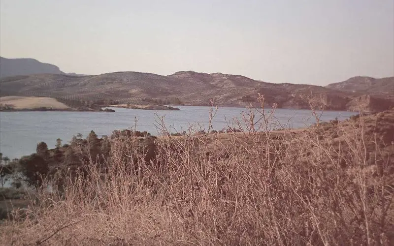 post-image