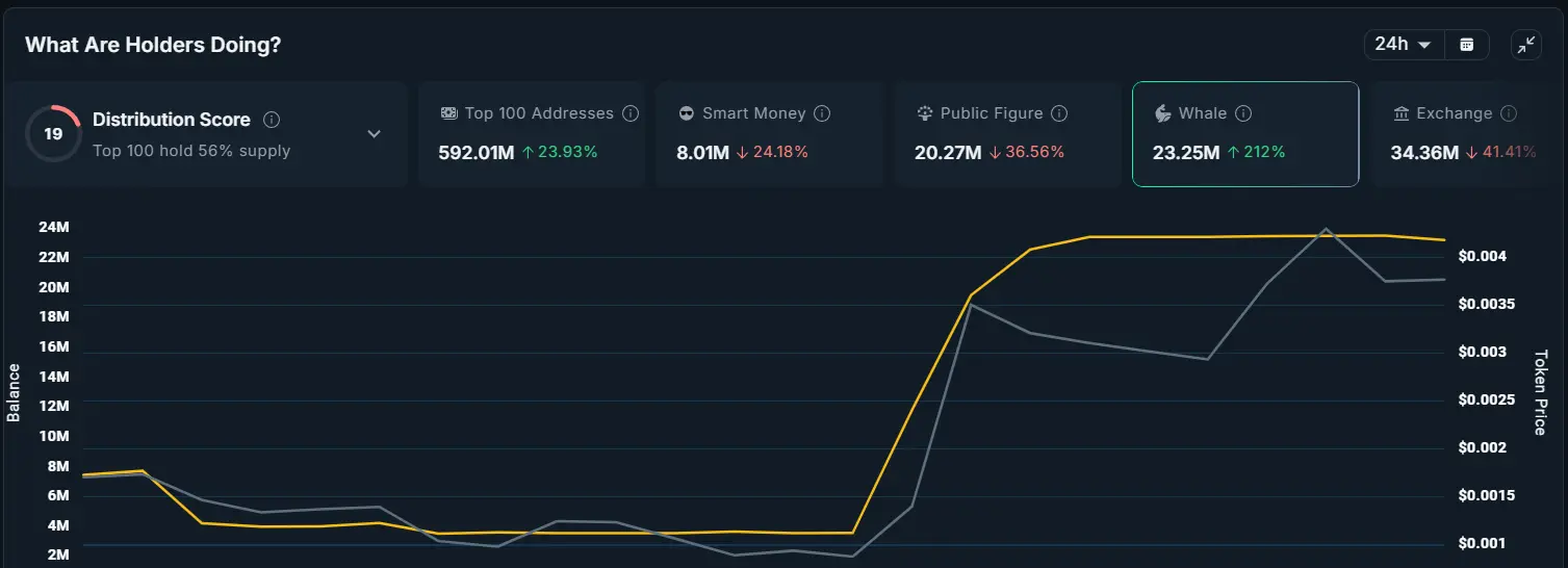 TURTLE Whale Holdings.