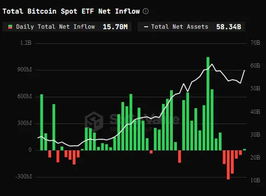 Биткойн-ETF прервали полосу оттока с чистым притоком в $15,7 млн - 1