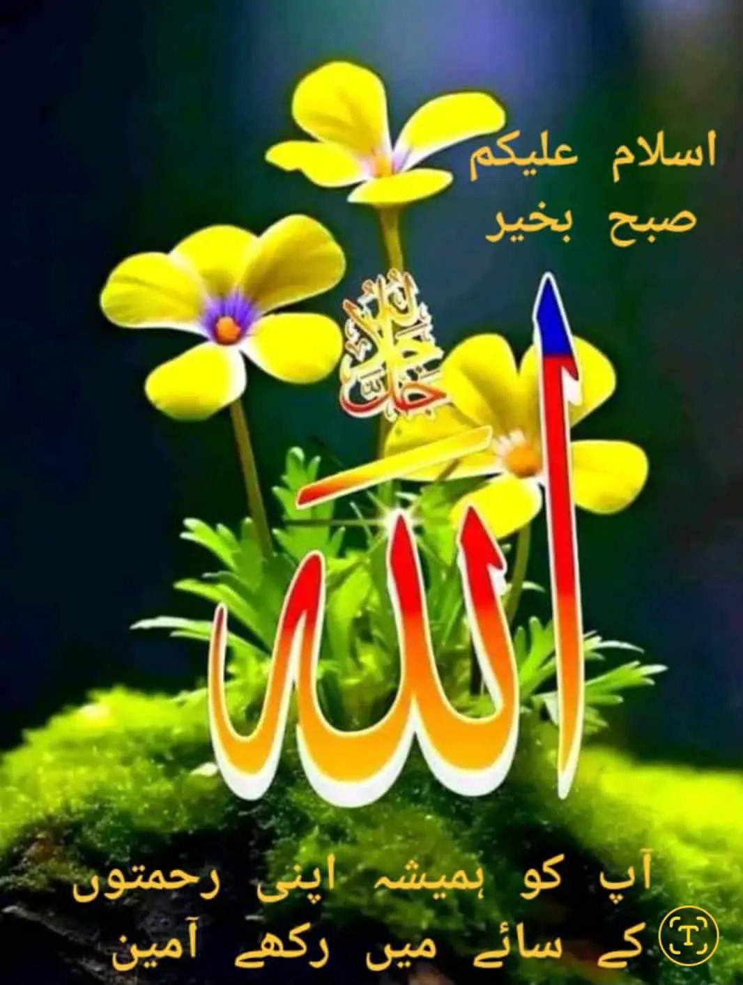 post-image