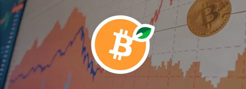 Apa itu Token RBTC?