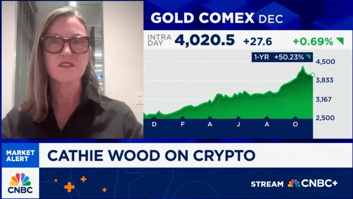 Cathie Wood stablecoin interview on CNBC.