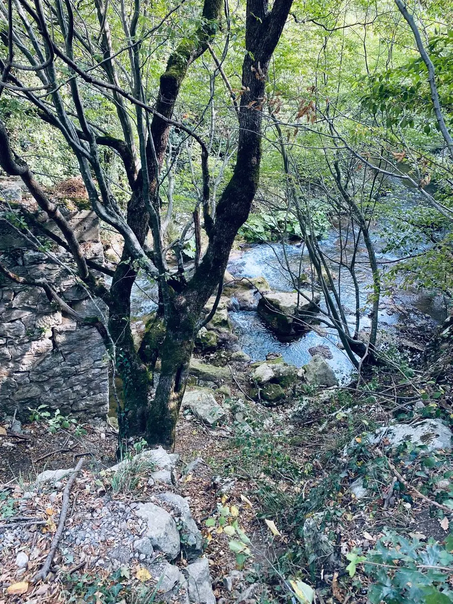 post-image