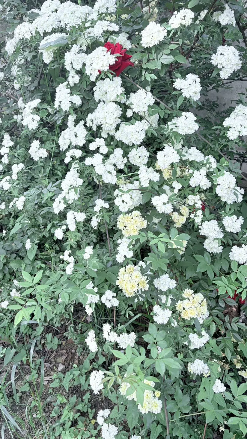 post-image