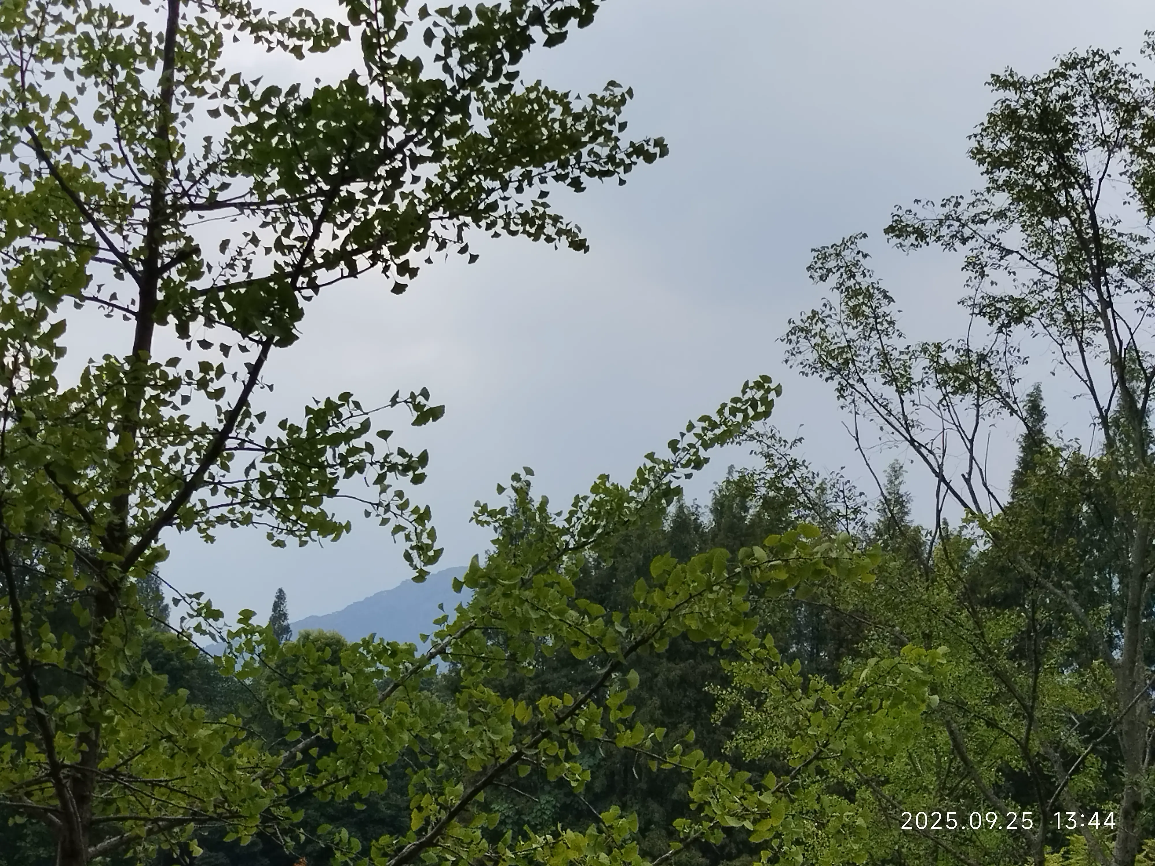 post-image