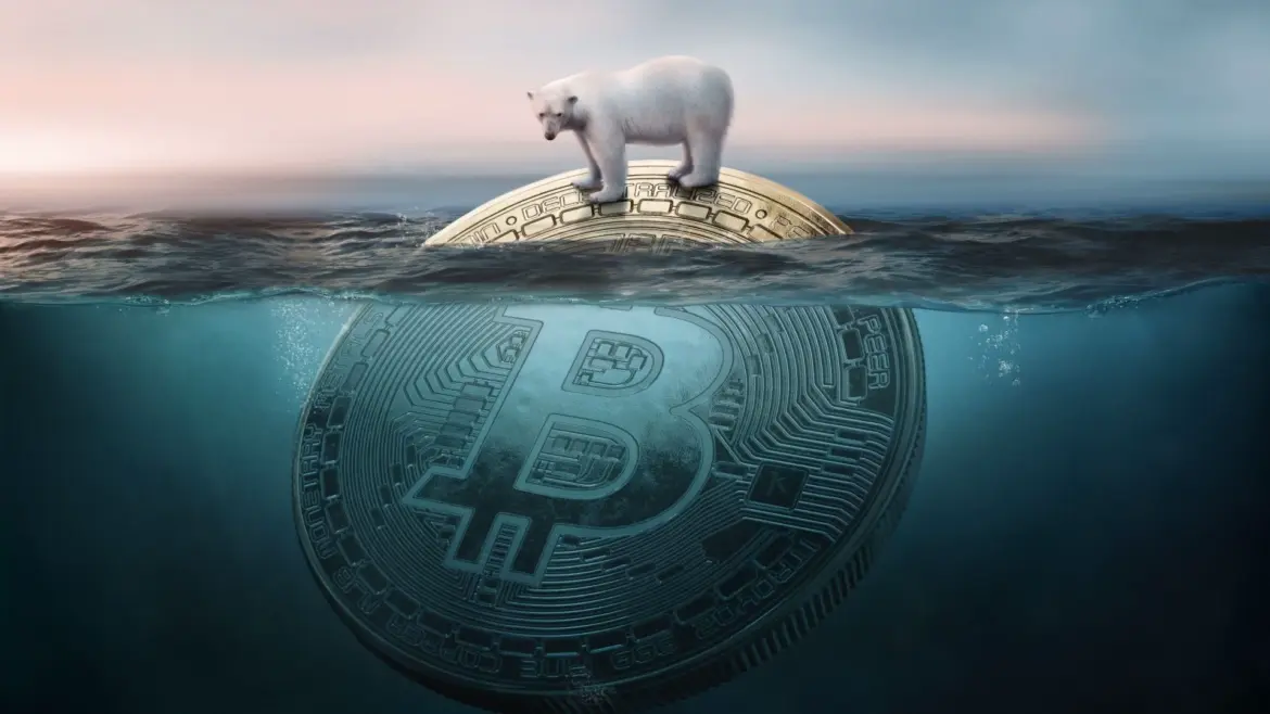 repost-content-media