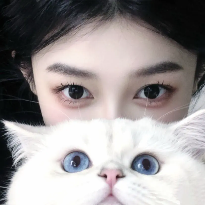 repost-content-media