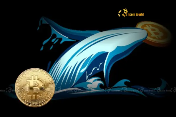 Transfer Bitcoin: Pergerakan WHALE $267 Juta yang Misterius Terungkap