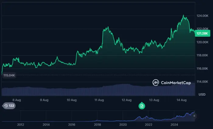 Bitcoin yedi günlük performansı