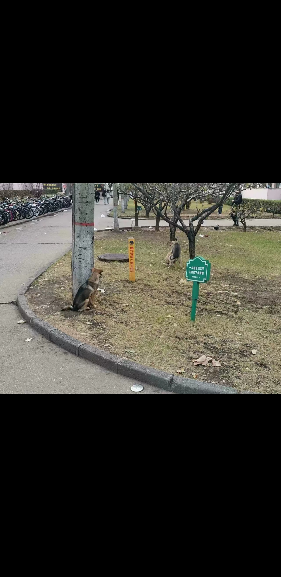 post-image