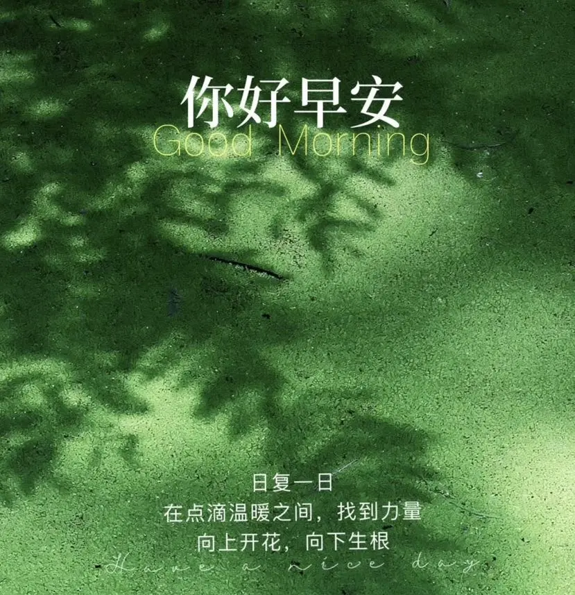 post-image