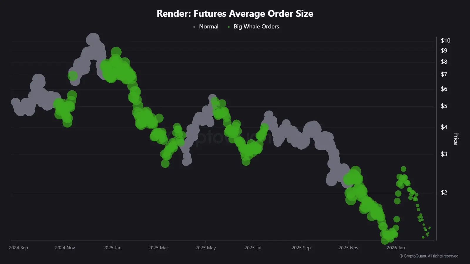 Đây là lý do RENDER tăng vọt 12%