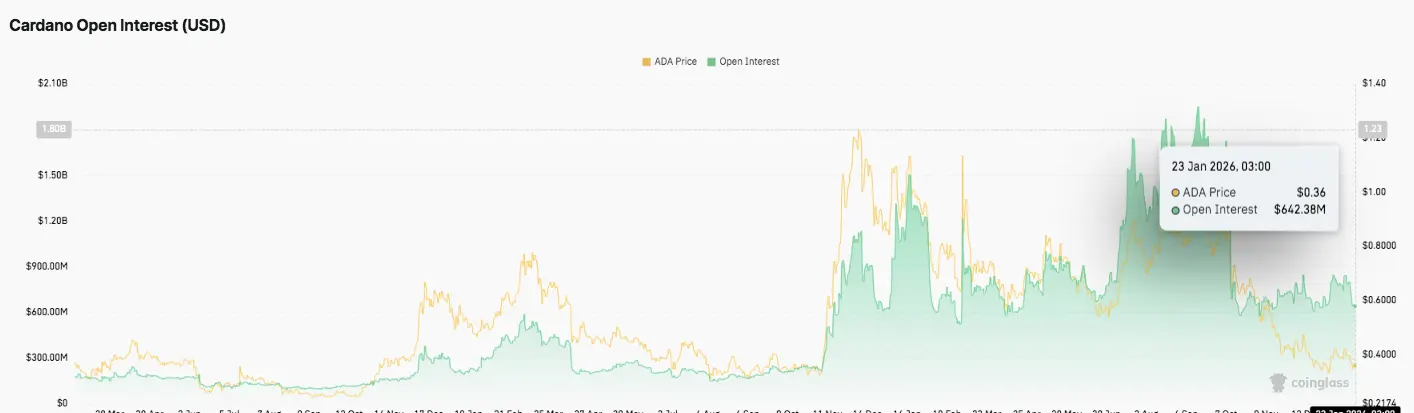 Open Interest Chart
