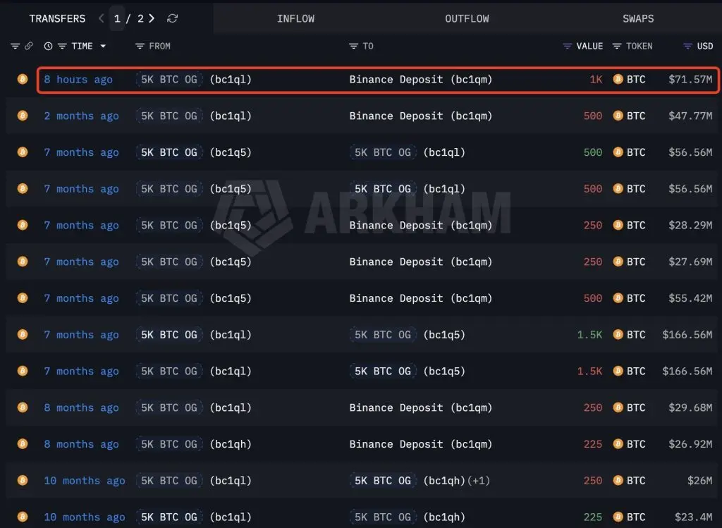 Sleeping 11-Year-Old Whale Awakens and Clears Out