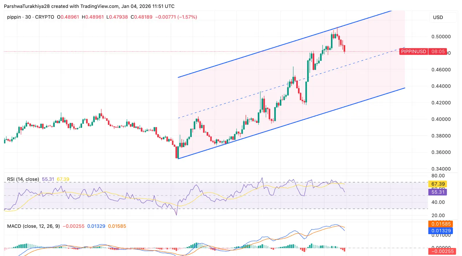 PIPPIN Price Dynamics