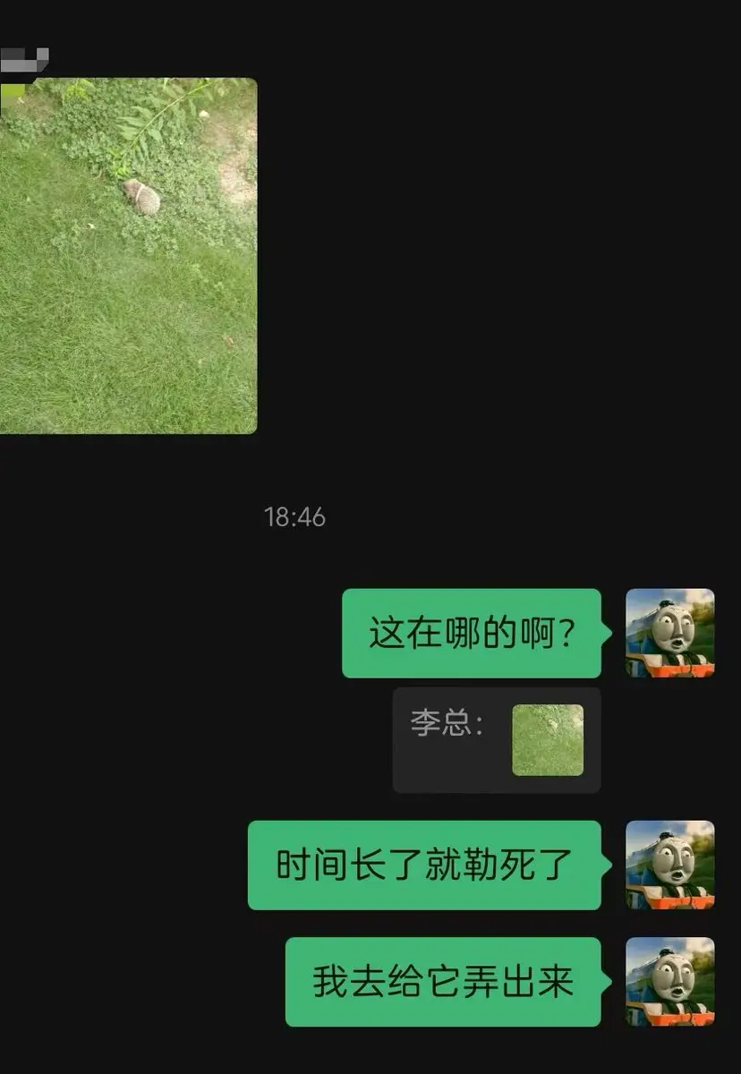 post-image