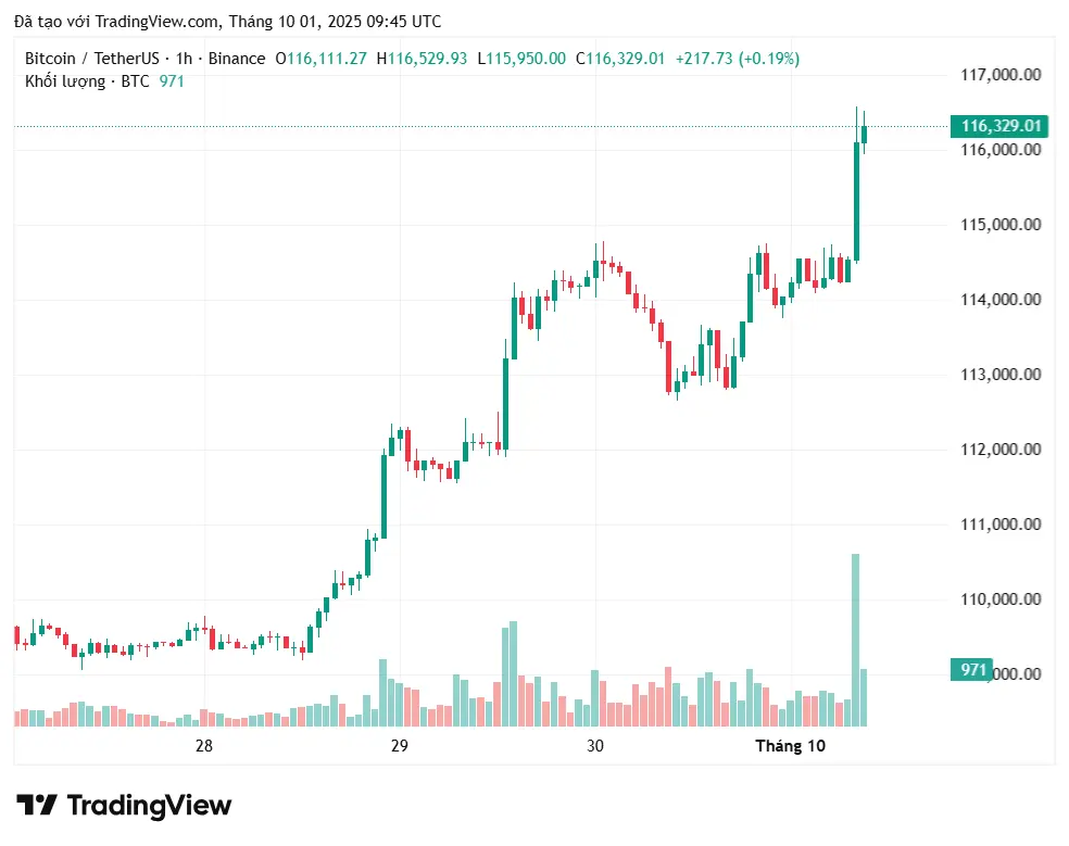 CryptoQuant apresenta um indicador importante do Bitcoin para a próxima semana