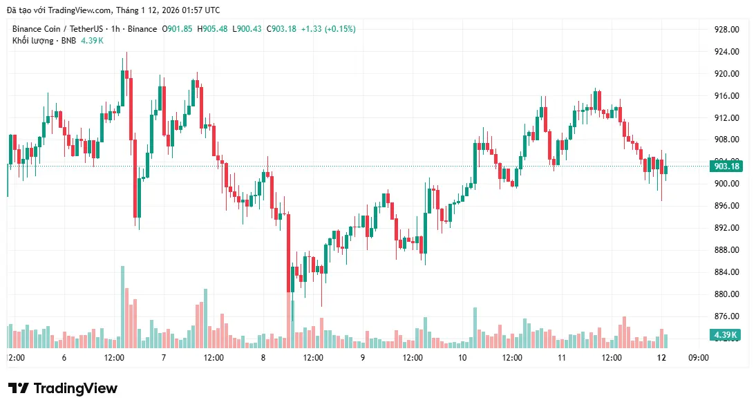 BNB Chain dẫn đầu về doanh thu, hứa hẹn bước tiến mới trong năm 2026