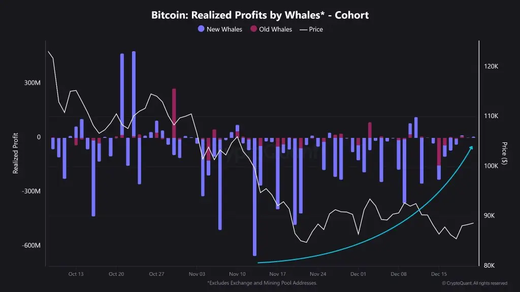 Bitcoin Realized Profit by Whales
