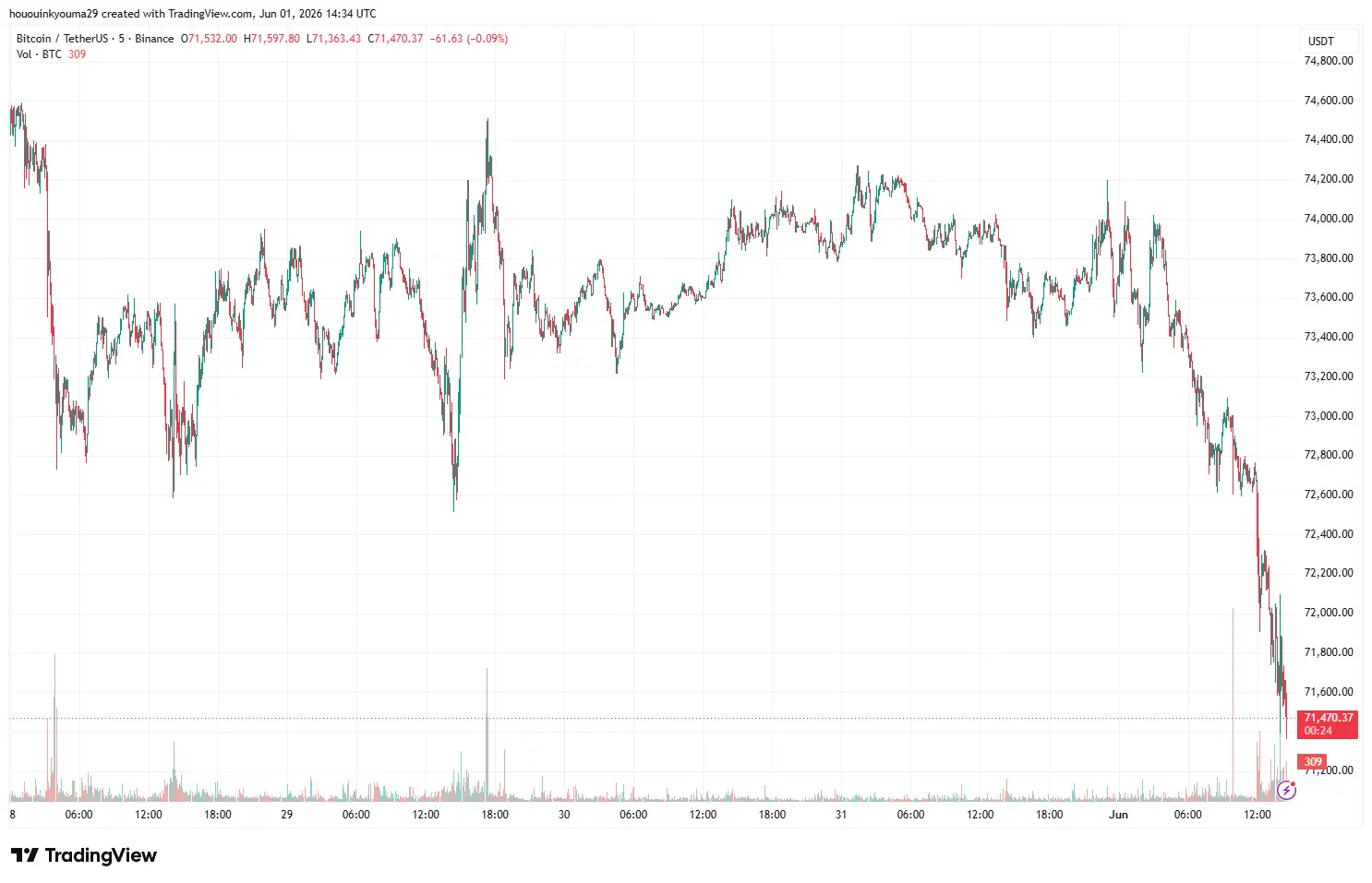 Bitcoin Price Chart